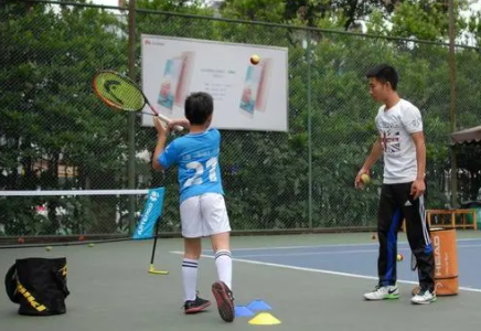 学网球