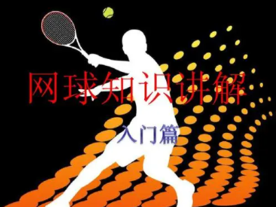网球入门基础知识