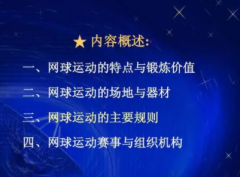 网球的特点是什么你都了解到哪些